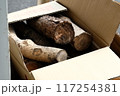 段ボールに入った丸太 117254381