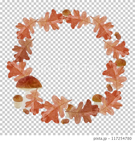 An oak leaf with an acorn and white mushrooms hand painted watercolor frame isolated on white. High quality drawing with wild forest plant in simple style for woodland designs, cards, textile packages 117254780