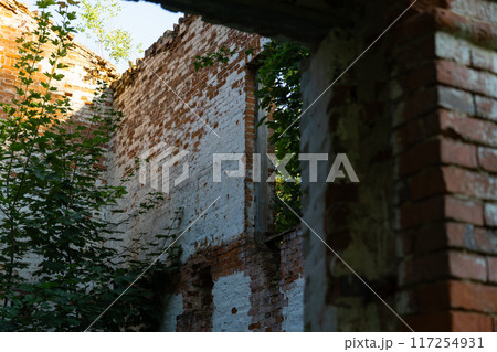 Old brick wall, entrance opening Old brick wall, entrance opening 117254931