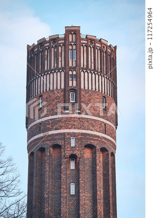 Historic Wasserturm in Lueneburg, Germany 117254964