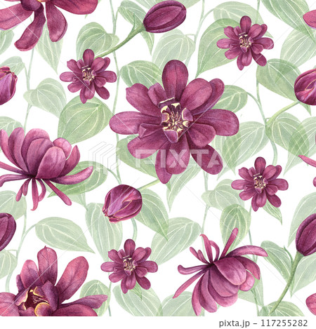 Floral seamless pattern with flowers and leaves. Beautiful purple blooms. Intertwined lush green plants. Carolina allspice or Calycanthus. Watercolor botanical illustration. For textile, package Floral seamless pattern with flowers and leaves. Beautiful purple blooms. Intertwined lush green plants. Carolina allspice or Calycanthus. Watercolor botanical illustration. For textile, package 117255282