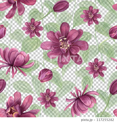 Floral seamless pattern with flowers and leaves. Beautiful purple blooms. Intertwined lush green plants. Carolina allspice or Calycanthus. Watercolor botanical illustration. For textile, package Floral seamless pattern with flowers and leaves. Beautiful purple blooms. Intertwined lush green plants. Carolina allspice or Calycanthus. Watercolor botanical illustration. For textile, package 117255282