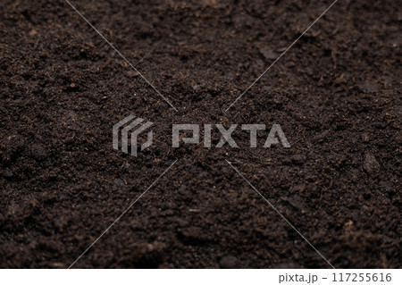 Beautiful background of fertile land close up. The background is entirely made of black soil with a well-defined texture and grains. Black fertile soil loosened before planting close-up. Beautiful background of fertile land close up. The background is entirely made of black soil with a well-defined texture and grains. Black fertile soil loosened before planting close-up. 117255616