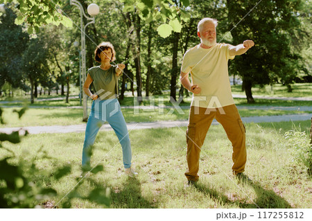 Senior couple practicing karate set in park during summer warm day 117255812