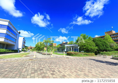 【広島県】快晴の広島大学（東広島キャンパス） 117255858