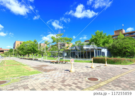 【広島県】快晴の広島大学(東広島キャンパス) 【広島県】快晴の広島大学(東広島キャンパス) 117255859