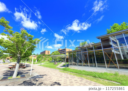 【広島県】快晴の広島大学（東広島キャンパス） 117255861