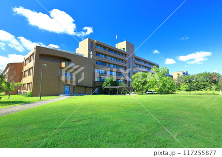 【広島県】快晴の広島大学（東広島キャンパス） 117255877