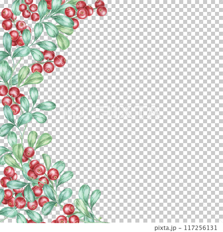 Red berries watercolor with clusters of vibrant cranberries and green leaves arranged in a corner frame. Use this clipart for festive stationery, digital scrapbooking, and holiday decorations Red berries watercolor with clusters of vibrant cranberries and green leaves arranged in a corner frame. Use this clipart for festive stationery, digital scrapbooking, and holiday decorations 117256131