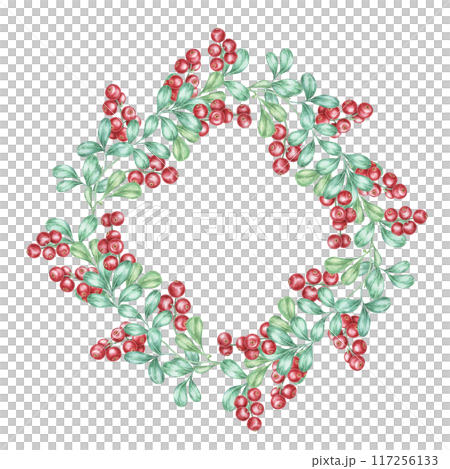 Cowberry watercolor clipart frame showcasing lush green leaves and bright red berries in a circular border. Ideal for Christmas cards, holiday decor, and seasonal event invitations Cowberry watercolor clipart frame showcasing lush green leaves and bright red berries in a circular border. Ideal for Christmas cards, holiday decor, and seasonal event invitations 117256133