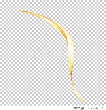 Single, elegantly curved oat leaf in warm golden tones. Watercolor clipart. Botanical illustration ideal for herbal product labels, natural cosmetics packaging, and eco-friendly design projects Single, elegantly curved oat leaf in warm golden tones. Watercolor clipart. Botanical illustration ideal for herbal product labels, natural cosmetics packaging, and eco-friendly design projects 117256134