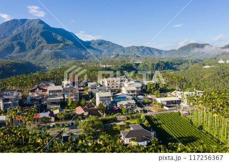 aerial view of Yuchi landscape 117256367