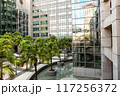modern garden with pond 117256372