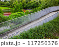 pathway in Maple Garden park 117256376