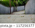 pathway in Maple Garden park 117256377