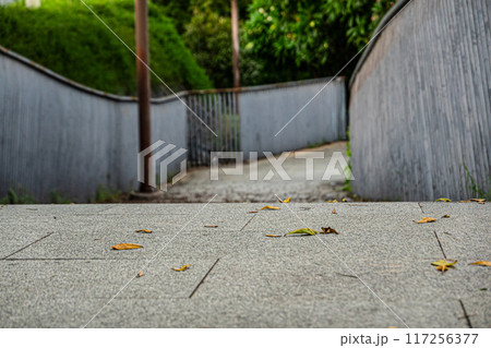 pathway in Maple Garden park 117256377