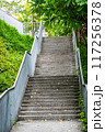 pathway in Maple Garden park 117256378