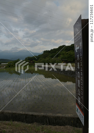 北杜市武川町の「水車の里公園」案内看板と田植えの済んだ水田 北杜市武川町の「水車の里公園」案内看板と田植えの済んだ水田 117256601