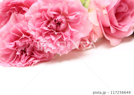 白背景の薔薇の花束 117256649
