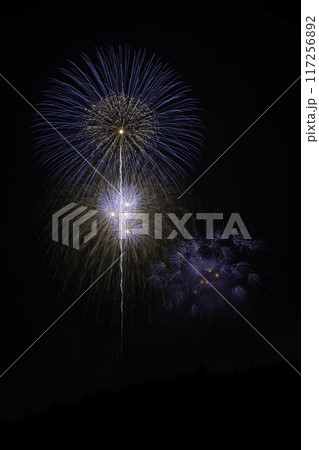 夜空に咲く花火 夜空に咲く花火 117256892