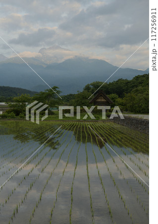 北杜市武川町水車の里公園にて、田植えの済んだ水田に映る明け行く南アルプス 北杜市武川町水車の里公園にて、田植えの済んだ水田に映る明け行く南アルプス 117256911