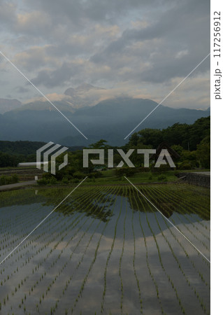 北杜市武川町水車の里公園にて、田植えの済んだ水田に映る明け行く南アルプス 117256912