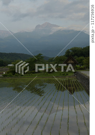 北杜市武川町水車の里公園にて、田植えの済んだ水田に映る明け行く南アルプス 北杜市武川町水車の里公園にて、田植えの済んだ水田に映る明け行く南アルプス 117256916
