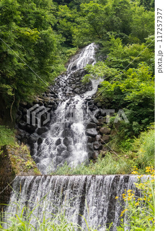 松之山温泉の不動滝 新潟県 松之山温泉の不動滝 新潟県 117257377