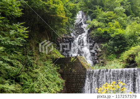 松之山温泉の不動滝 新潟県 松之山温泉の不動滝 新潟県 117257379