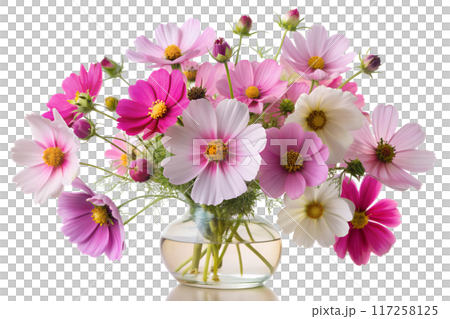 Close-Up of White Cosmos Flower 117258125