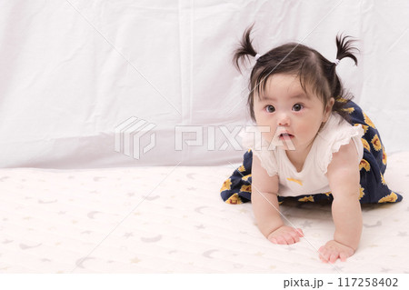 【はいはいを始める髪を結んだ赤ちゃん】 【はいはいを始める髪を結んだ赤ちゃん】 117258402