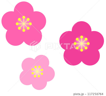 旬に咲くカラフルで綺麗な梅の花 117258764