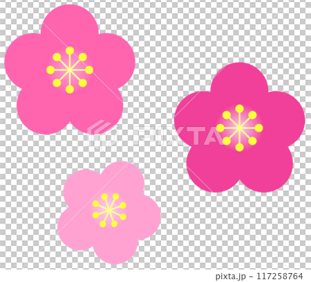 旬に咲くカラフルで綺麗な梅の花 117258764