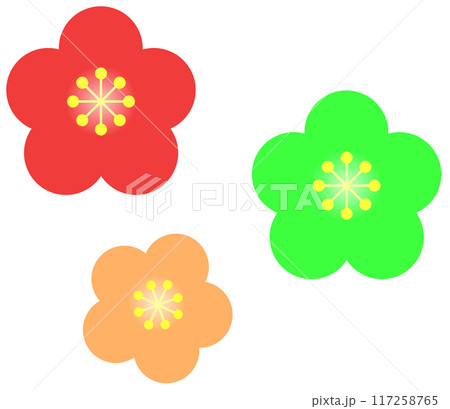 旬に咲くカラフルで綺麗な梅の花 旬に咲くカラフルで綺麗な梅の花 117258765
