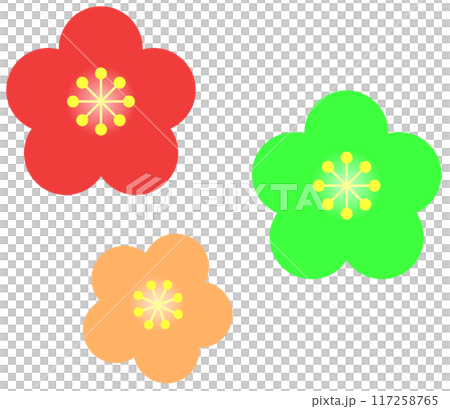 梅花隨季節綻放，絢麗多彩 117258765