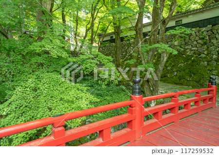 岐阜県揖斐川町 西美濃三十三霊場第一札所の新緑の横蔵寺の赤い橋 岐阜県揖斐川町 西美濃三十三霊場第一札所の新緑の横蔵寺の赤い橋 117259532