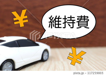 車の維持費の関するイメージ 車の維持費の関するイメージ 117259803