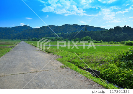越後の長閑な田園風景 清津川沿い 新潟県十日町市 越後の長閑な田園風景 清津川沿い 新潟県十日町市 117261322
