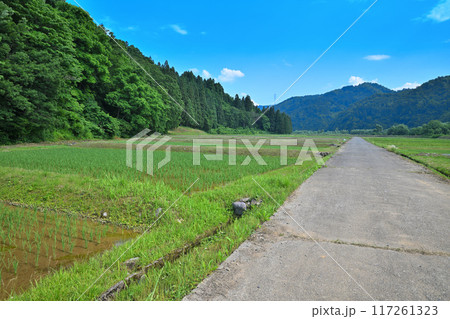 越後の長閑な田園風景　清津川沿い　新潟県十日町市 117261323