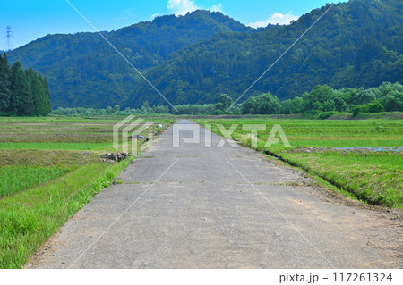 越後の長閑な田園風景 清津川沿い 新潟県十日町市 越後の長閑な田園風景 清津川沿い 新潟県十日町市 117261324