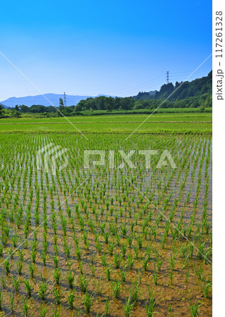越後の長閑な田園風景　清津川沿い　新潟県十日町市 117261328