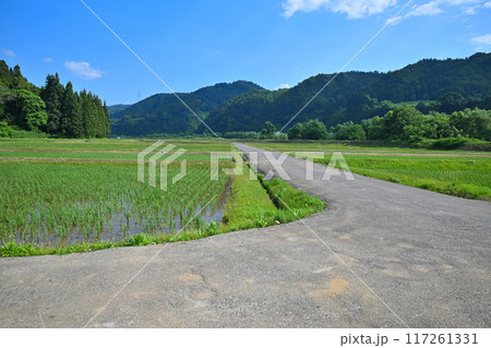 越後の長閑な田園風景　清津川沿い　新潟県十日町市 117261331