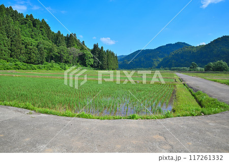 越後の長閑な田園風景　清津川沿い　新潟県十日町市 117261332