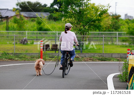 自転車で犬の散歩をする 117261528