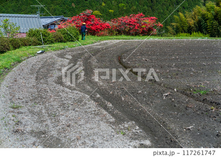 京都市左京区大原の里の春から初夏春の嬉しい景色撮影 117261747