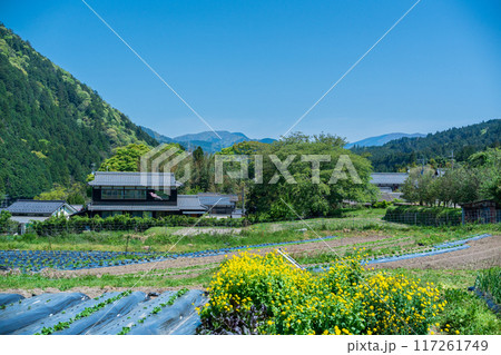 京都市左京区大原の里の春から初夏春の嬉しい景色撮影 117261749