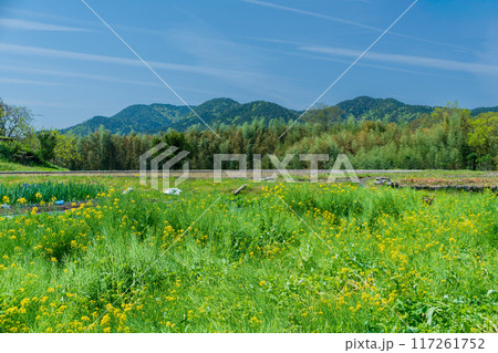 京都市左京区大原の里の春から初夏春の嬉しい景色撮影 京都市左京区大原の里の春から初夏春の嬉しい景色撮影 117261752