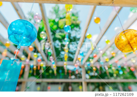 滋賀県大津市明智光秀の菩提寺天台宗西教寺の風鈴参道を撮影したもの 滋賀県大津市明智光秀の菩提寺天台宗西教寺の風鈴参道を撮影したもの 117262109