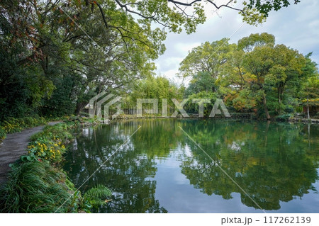 静寂に包まれた秋の日本庭園の情景 117262139