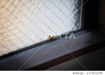 錆び付いた網入りガラス 117262256